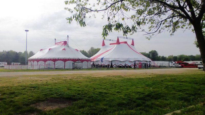 Noleggio tendoni di Circo Peppino Medini